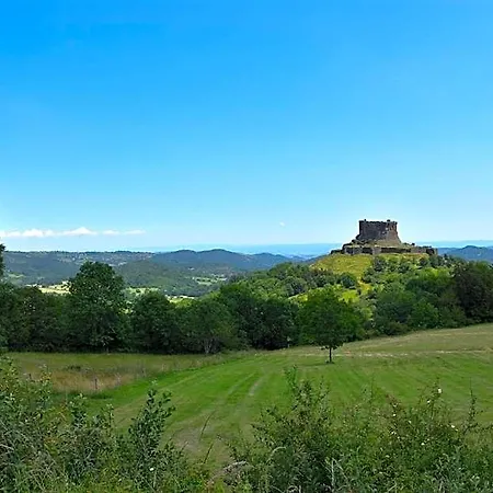 Du Sancy بيت خشبي